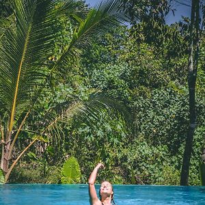 Surf & Yoga Sri Lanka - Surf Camp And Yoga Retreat With Coworking Space